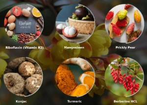Ignitra Ingredients