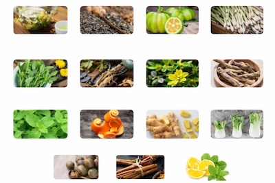 Slim Boost Tea Ingredients