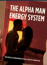 Digital Bonus #2 The Alpha Man Energy System