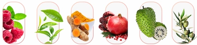 Memo Max Pro ingredients