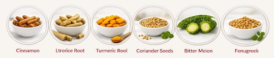 MetaFlow Ingredient
